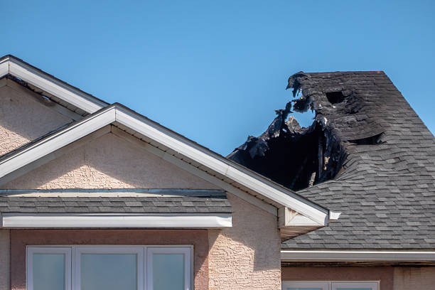 Top rated local Fire Damage Removal specialists in Elmwood, WI